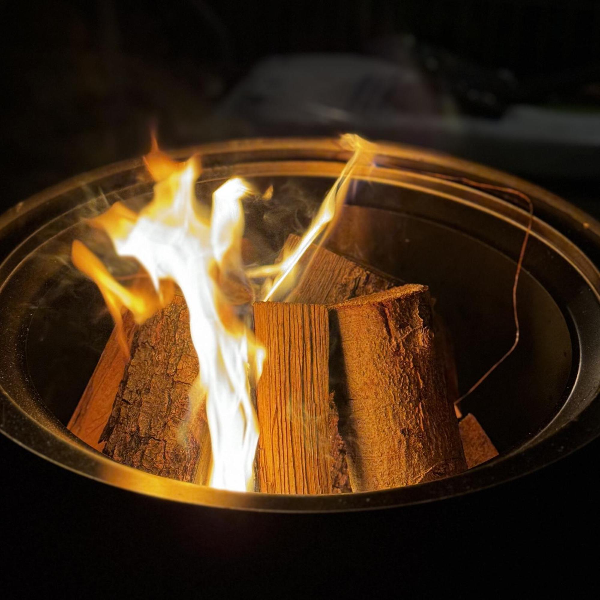 Greenhouse Living Apartment Fagus Mit Terrasse Und Feuerstelle - 6 Minuten Nach Winterberg - 4 Minuten Zur Ruhrquelle - Wandern - Mountainbike Fahren - Reisen Mit Hund & Natur Geniessen ميدهباخ المظهر الخارجي الصورة